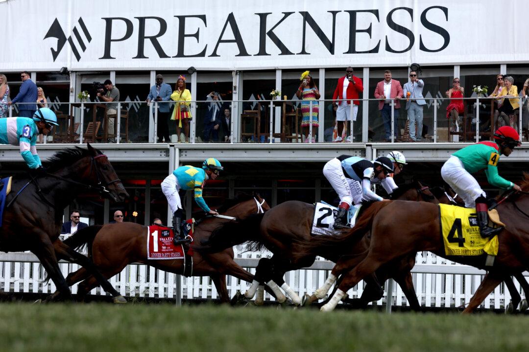2025 Preakness Stakes Preview: What You Need to Know