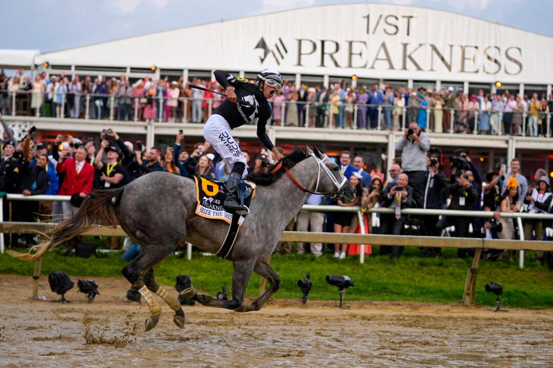 Seize the Grey Wins Preakness, Ends Mystik Dan’s Triple Crown Bid