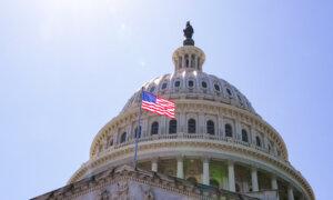 Dozens of House Democrats Seek Answers on DOGE Report