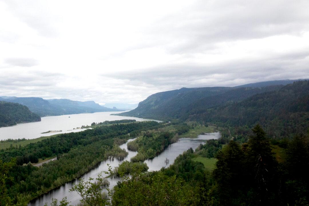 Hiker Dies After Falling From Trail in Oregon’s Columbia River Gorge, Officials Say