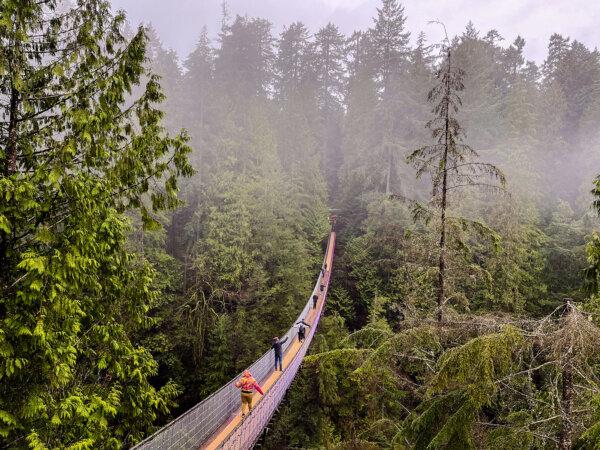 Capilano Suspension Bridge Park, Vancouver. (Christopher Reynolds/Los Angeles Times/TNS)