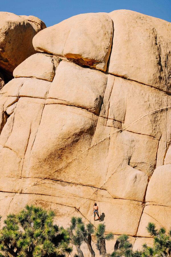 A rock climber is seen at the Hidden Valley campground inside Joshua Tree National Park. (Dania Maxwell/Los Angeles Times/TNS)