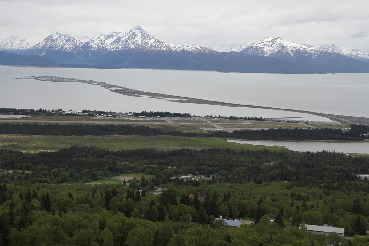 Moose Kills Alaska Man Attempting to Take Photos of Her Newborn Calves