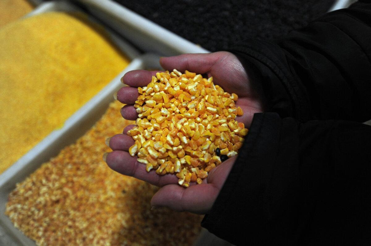 A vendor picks up corn at her stall in a market in Beijing on Dec. 2, 2009. (Peter Parks/AFP via Getty Images)