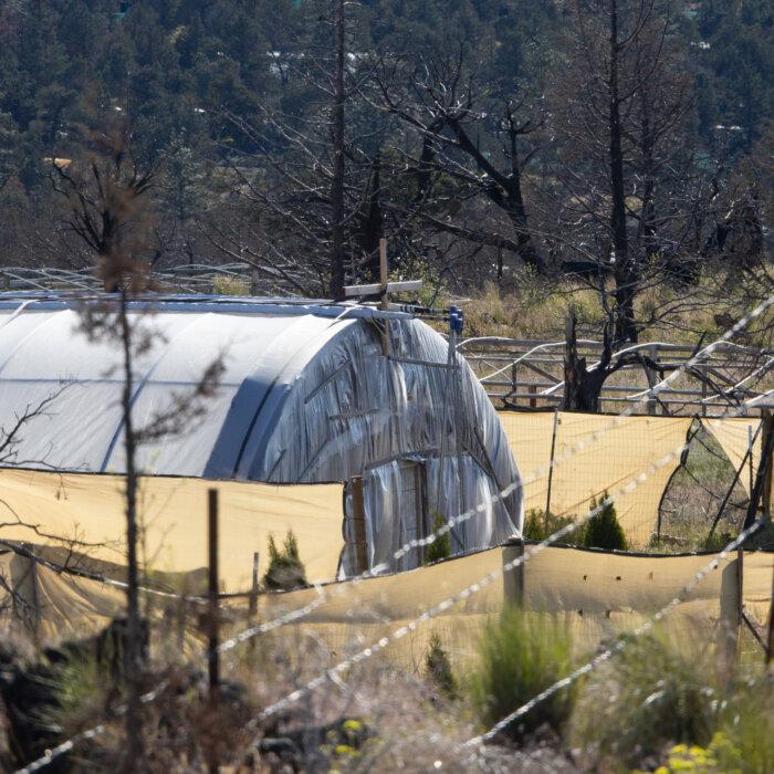 Manager of Illegal Cannabis Operation in Northern California Gets 10 Years in Prison