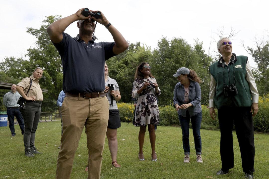 Tips for Planning Your Own Birding Trip