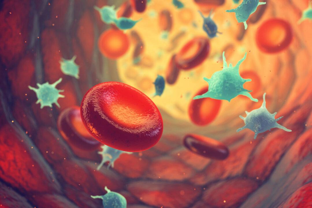 Paper Finds Vaccine-Induced Blood Clotting Disorder Also Triggered by Infections, But Not COVID