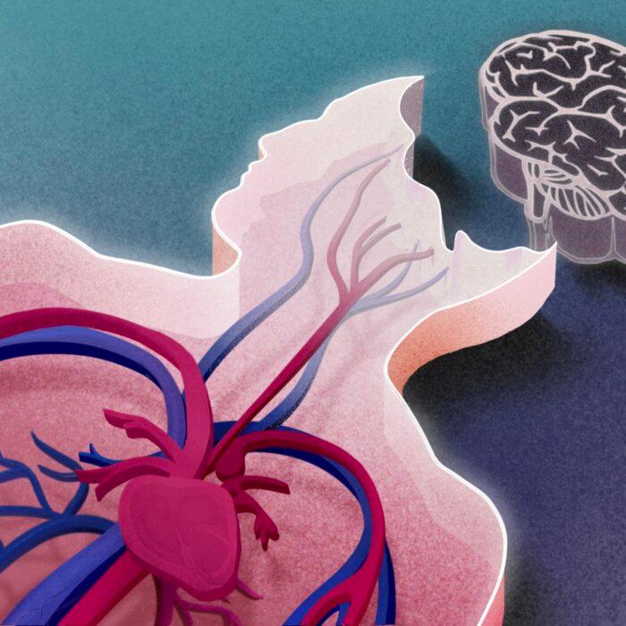 Brain-Dead People May Not Be Dead–Here’s Why