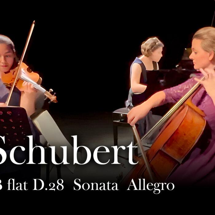F. Schubert: Piano Trio in B Flat, D.28 ‘Sonata’: Allegro