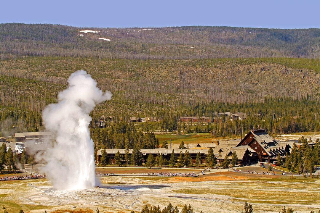 Old Faithful Inn: A National Park Lodge