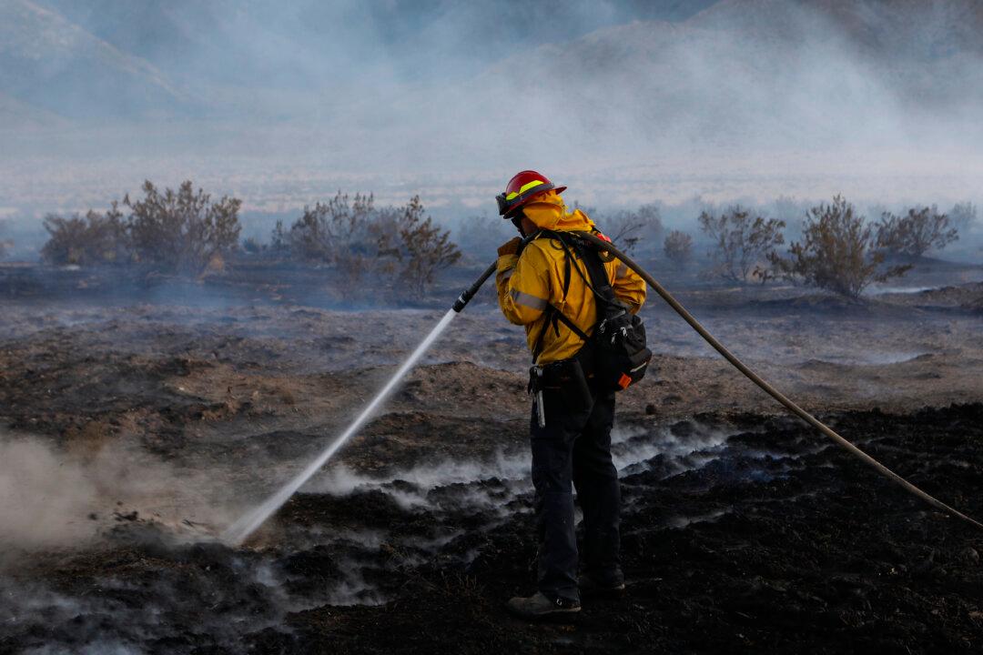 Firefighters Contain Wildfire in Eastern San Diego County