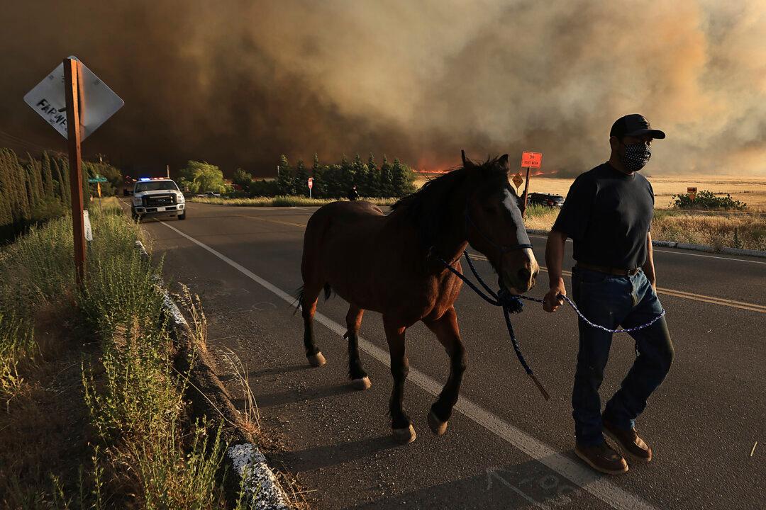 California Firefighters Make Significant Progress Against Wildfire East of San Francisco Bay