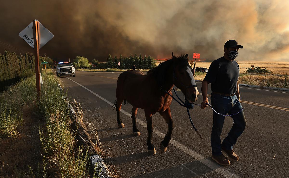California Firefighters Make Significant Progress Against Wildfire East of San Francisco Bay