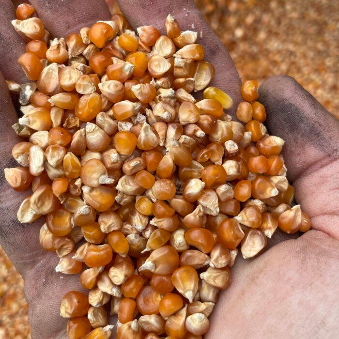 Don’t Like Grits? You Just Haven’t Tried Greg Johnsman’s