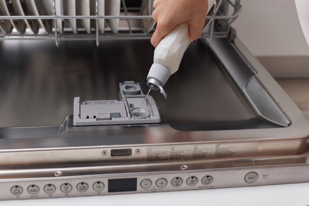 Potatoes in the Dishwasher? Let the Debate Commence!