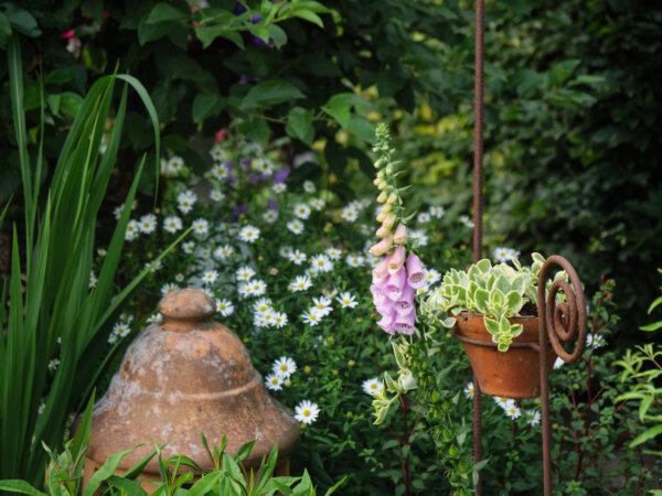 The easiest and cheapest way to give your garden an old soul is by using old pots with a lot of character. (suehling/Shutterstock)