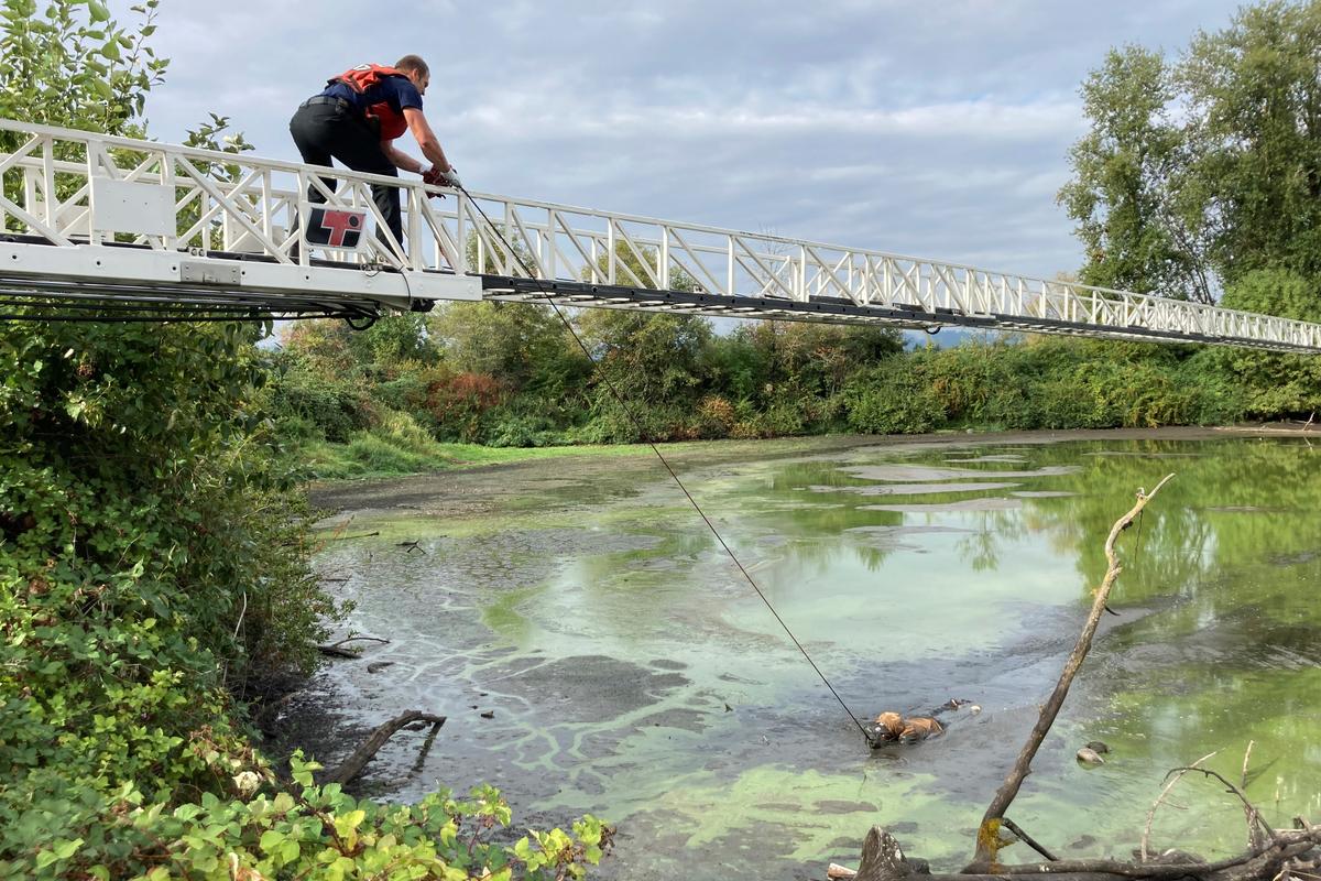 Man Who Escaped Oregon Hospital While Shackled and Had to Be Rescued From Muddy Pond Sentenced