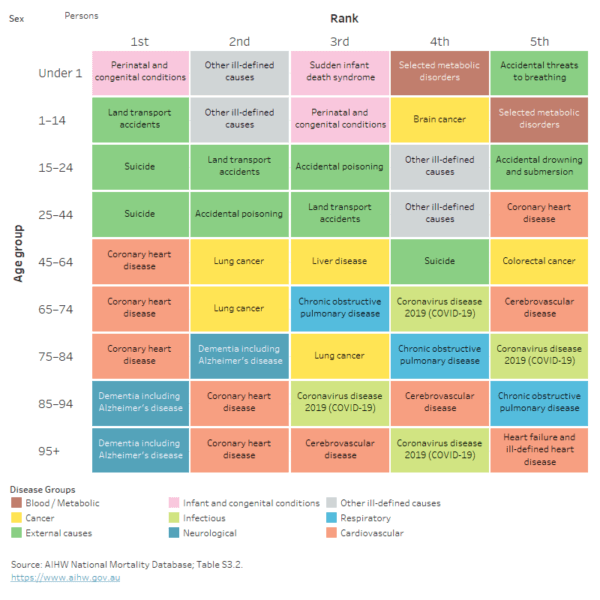 Leading underlying causes of death in Australia, by age group and sex, 2022. (Source: Australian Institute of Health and Welfare)