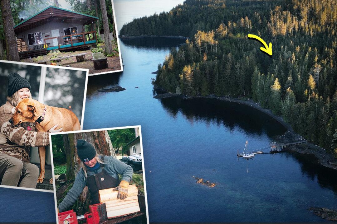 Woman Lives Off-Grid in a Small Cabin on a Remote Island—Shares Her Unique Experience