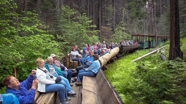 Passengers sit in the open log-bench cars during a Yosemite Mountain Sugar Pine Railroad "moonlight special" excursion through the Sierra National Forest on June 6, 2019. (Craig Kohlruss/The Fresno Bee/TNS)