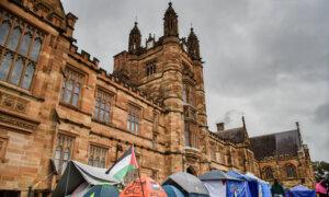 Universities Protecting Freedom of Speech Amid Campus Protests: Secretary