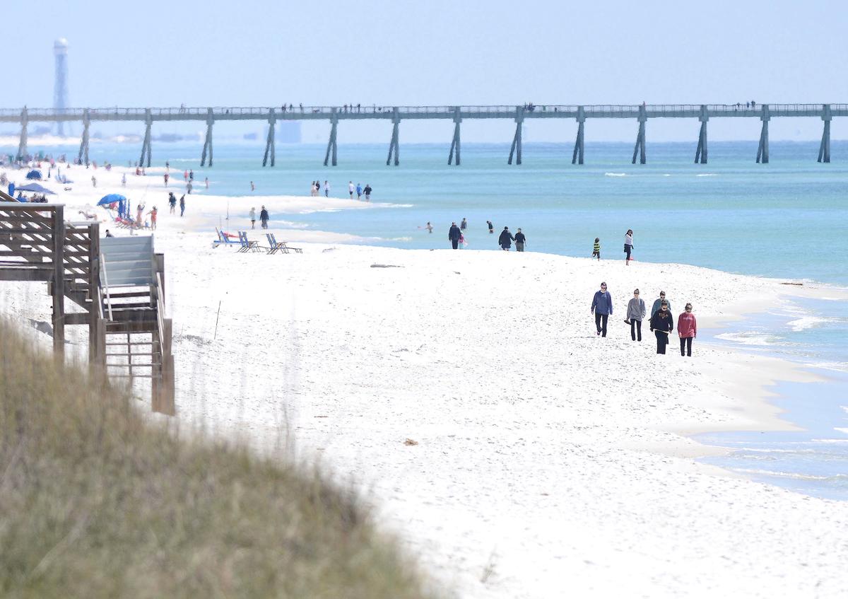 Florida Authorities Warn of Shark Dangers Along Gulf Coast Beaches After 3 People Are Attacked