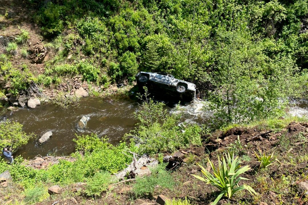 Dog Runs 4 Miles to Get Help After Owner Accidentally Drives Off Embankment