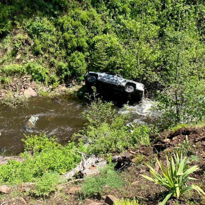 Dog Runs 4 Miles to Get Help After Owner Accidentally Drives Off Embankment