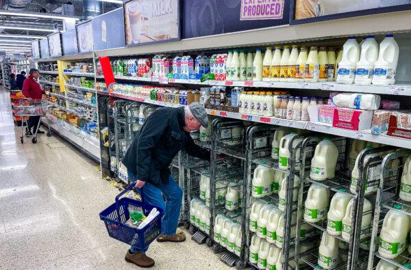 Organic Milk Farmers Reverting to Conventional Production, Risking Shortages