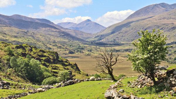 Rick Steves’ Europe: Ireland’s Entertaining Ring of Kerry