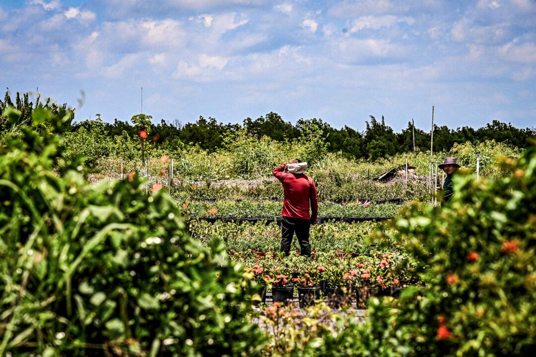 17 States, Farmers Sue to Block Federal Rule Allowing Foreign Workers to Unionize
