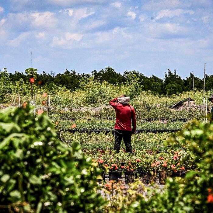 17 States, Farmers Sue to Block Federal Rule Allowing Foreign Workers to Unionize