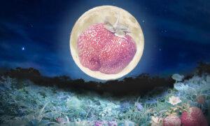 ‘Strawberry Full Moon’ to Usher In Summer With Most Splendid Look in Years—What to Watch For