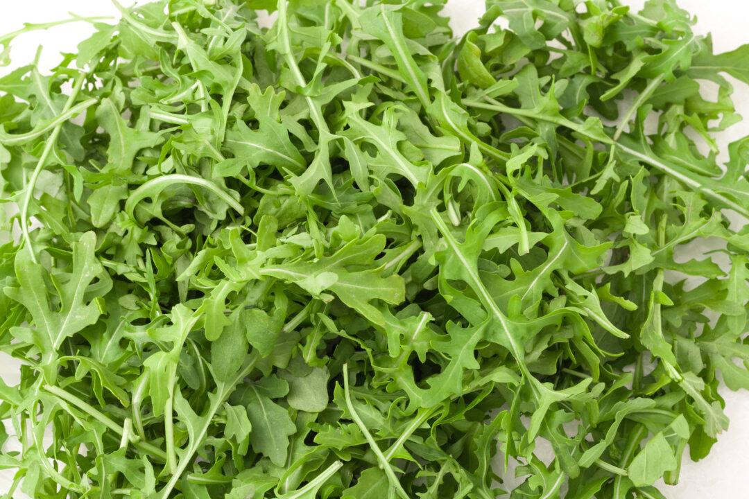 Baby Arugula Recalled Over Salmonella Contamination