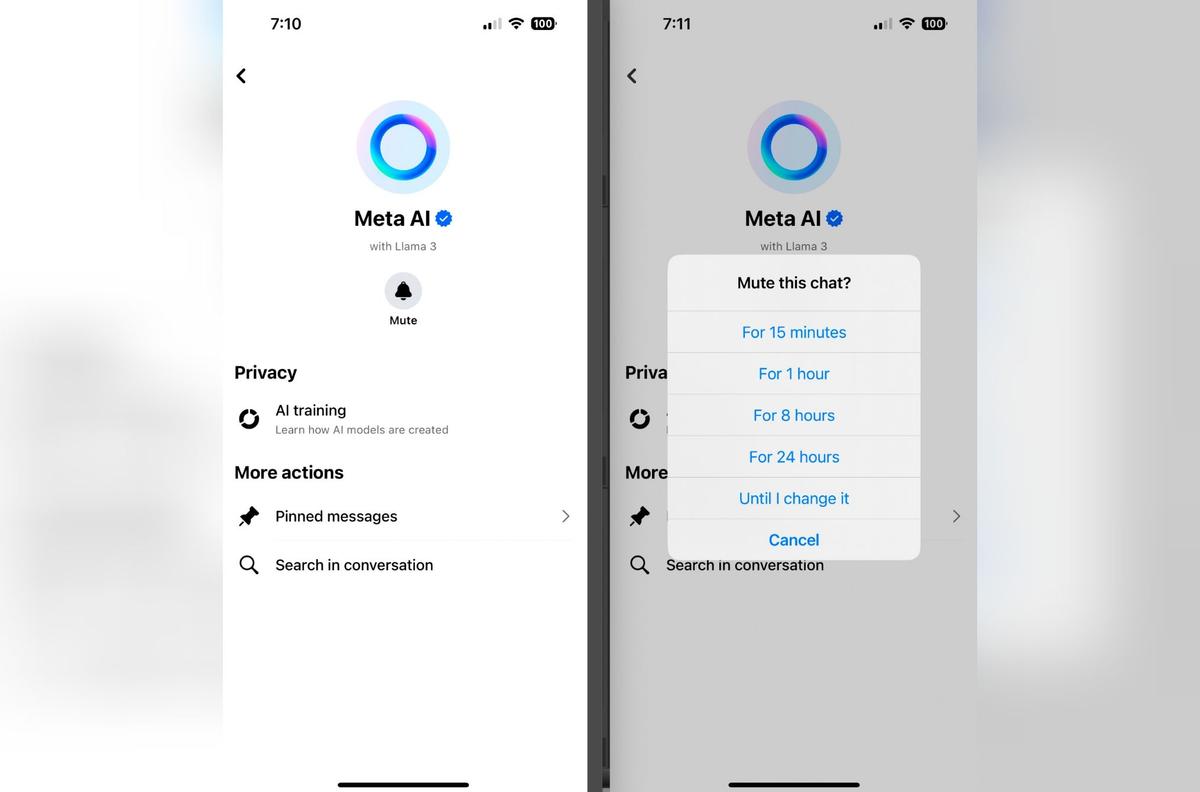 How Meta’s AI Systems Are Using Your Data and Why Opting out Is Not so Simple
