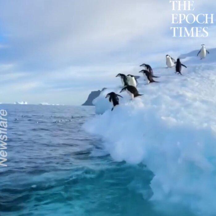 The Epoch Times