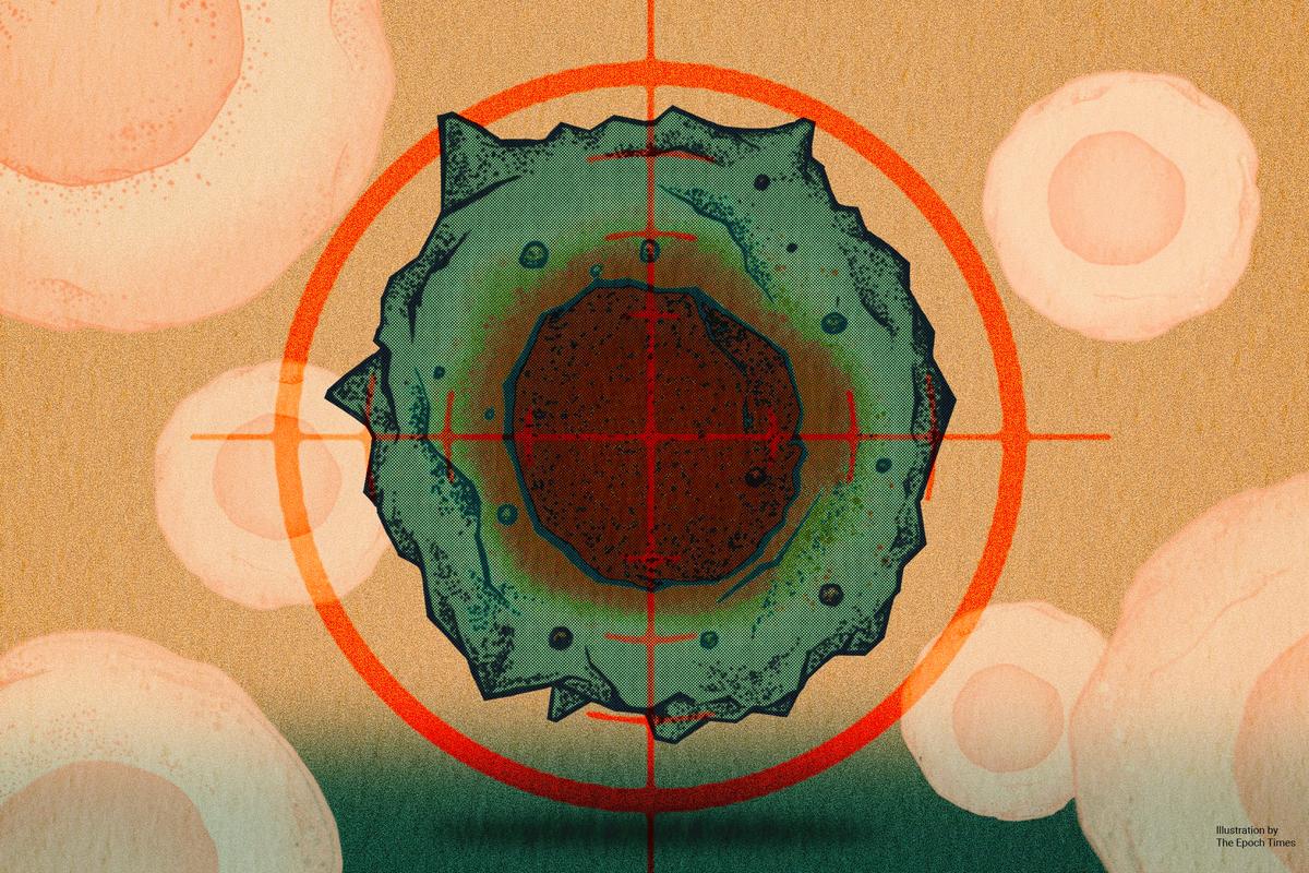 Reducing ‘Zombie’ Cells Can Keep Us Younger