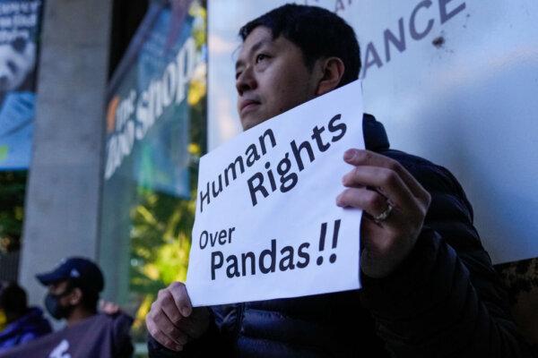 A pro Hong Kong protestor holds a placard reading 'Human Rights over Pandas' at Adelaide Zoo in Adelaide, Australia, on June 16, 2024. (Asanka Ratnayake/Getty Images)