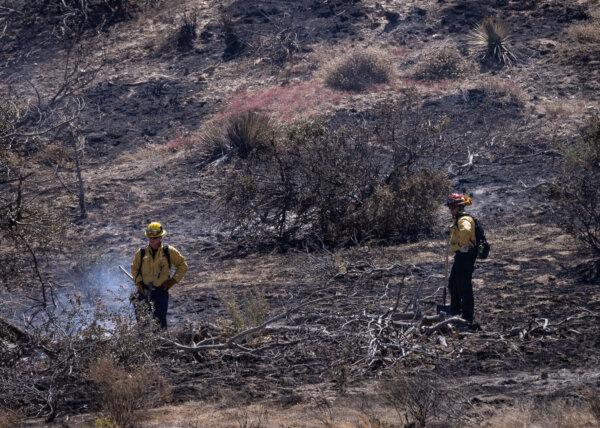 Fire fighters work to extinguish the Post Fire outside of Gorman, Calif., on June 17, 2024. (John Fredricks/The Epoch Times)