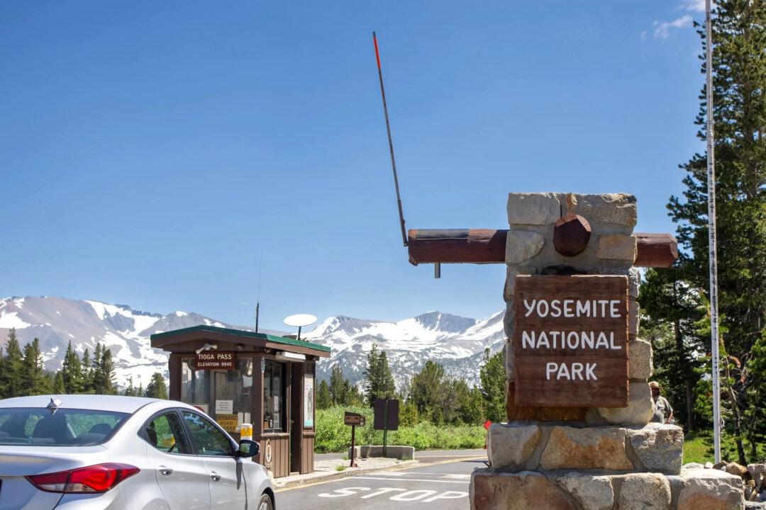 Can You Drive up to 9,945 Feet? Yosemite’s Famed High Country Tioga Road Just Reopened