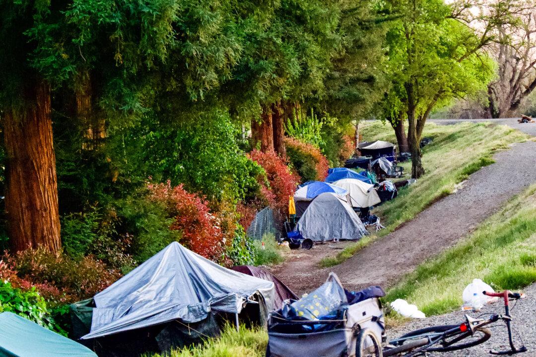 Count Showing Homelessness Down 29 Percent in Sacramento Is Questioned