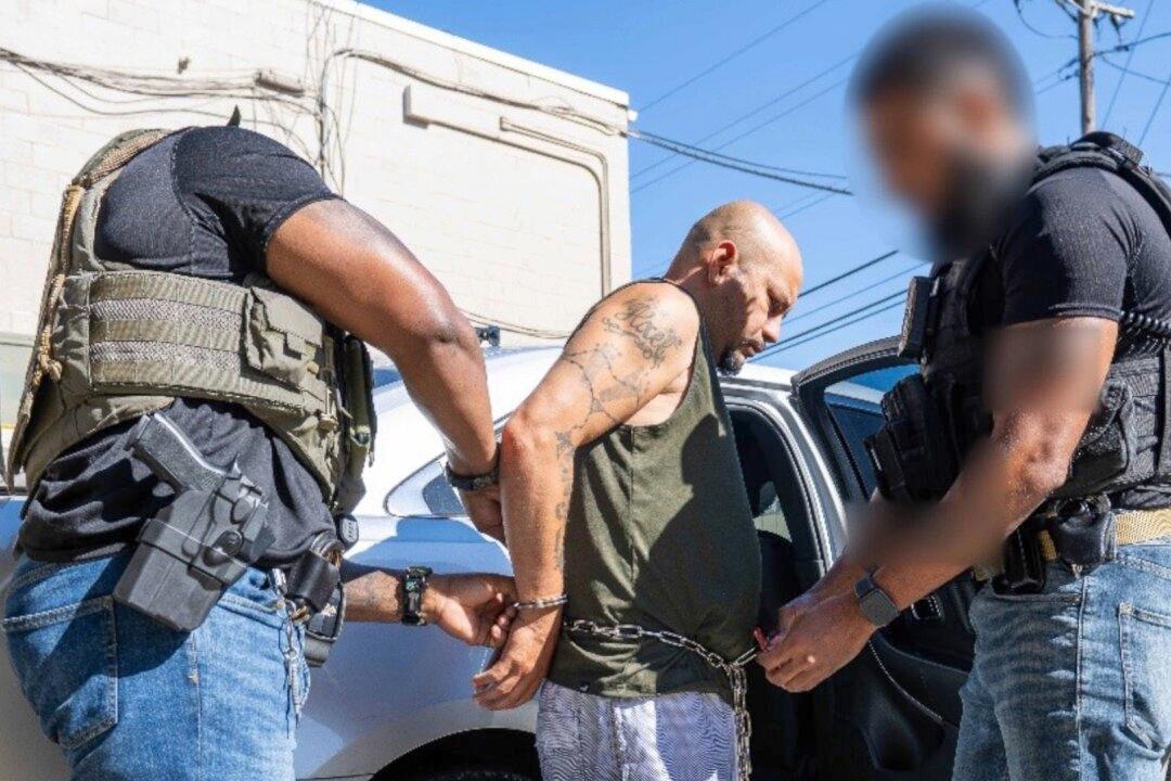 Illegal Immigrant Convicted of Child Sex Crimes Arrested in Baltimore: ICE