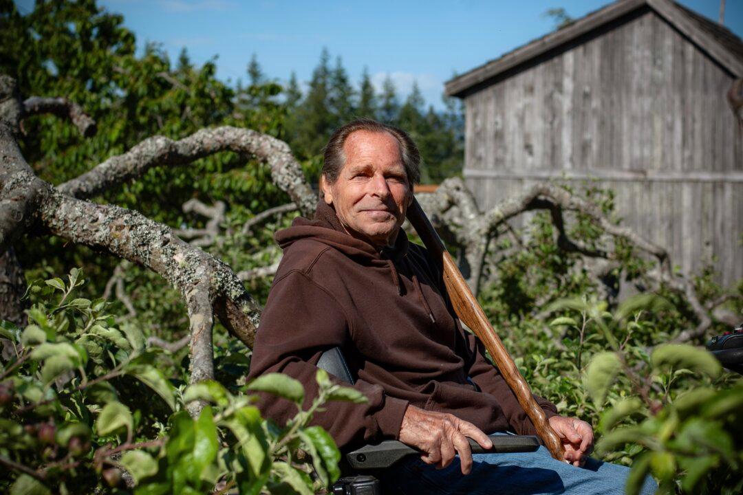 A Garden as Nature Intended: Washington Orchard Thrives Despite No Watering, No Tilling