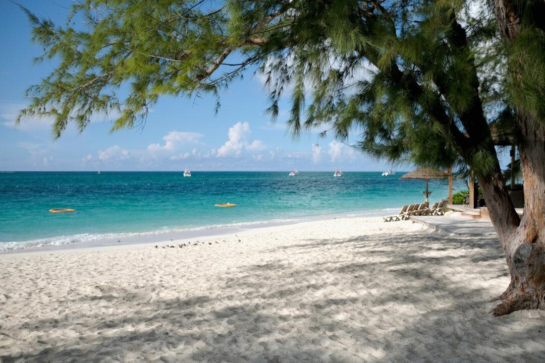 Family of Canadian Woman Bitten By Shark in Turks and Caicos Island Calls Attack a ‘Nightmare’