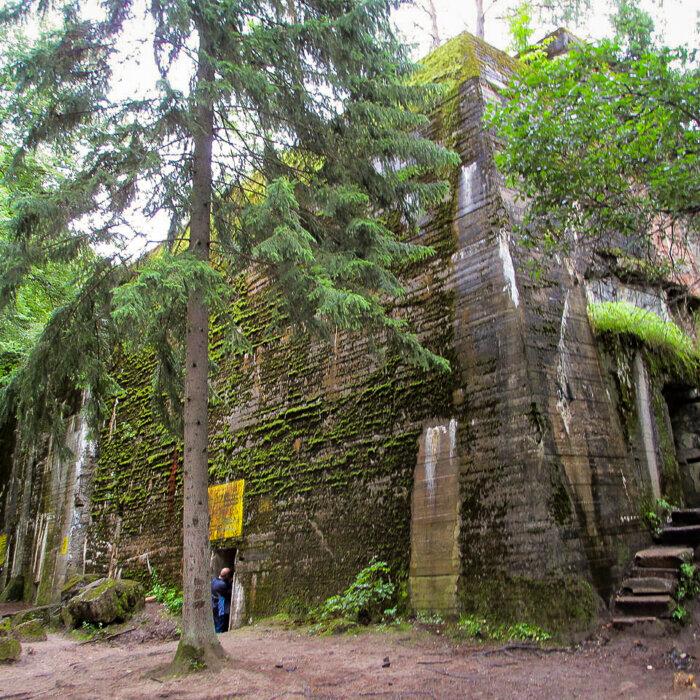 The Valkyries’ Fall: A Desperate Attempt to Assassinate Hitler and Remove the Nazis