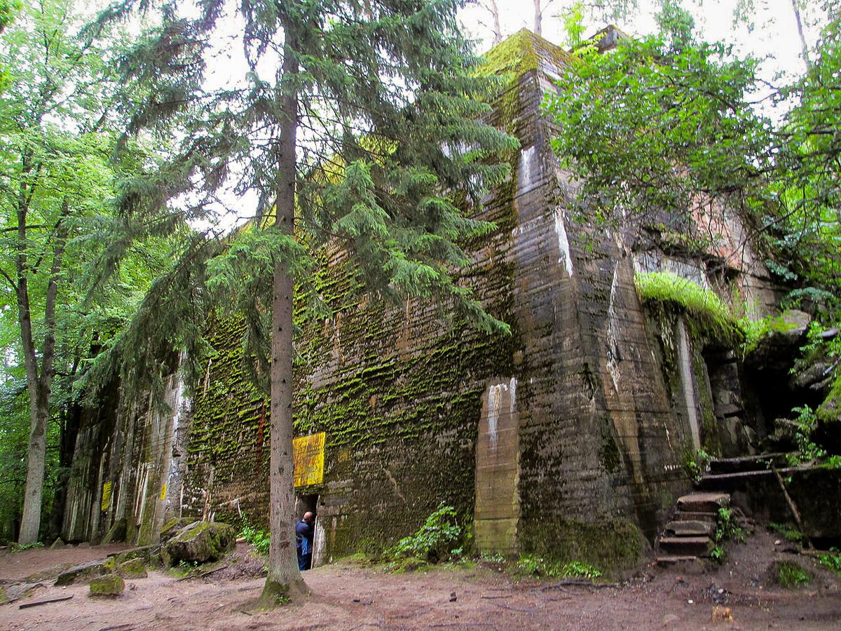 The Valkyries’ Fall: A Desperate Attempt to Assassinate Hitler and Remove the Nazis