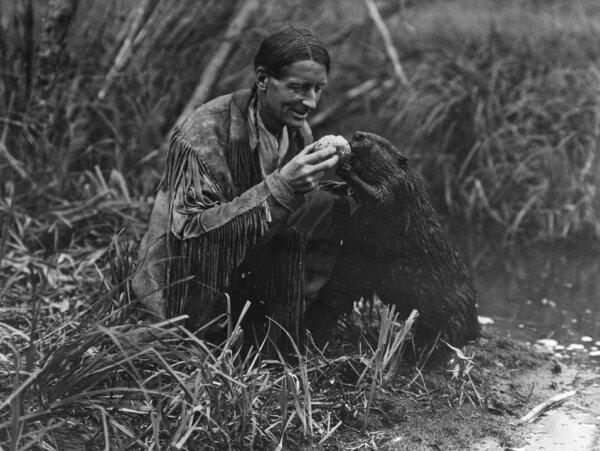 Grey Owl feeds a beaver a jelly roll in 1931. (Public Domain)