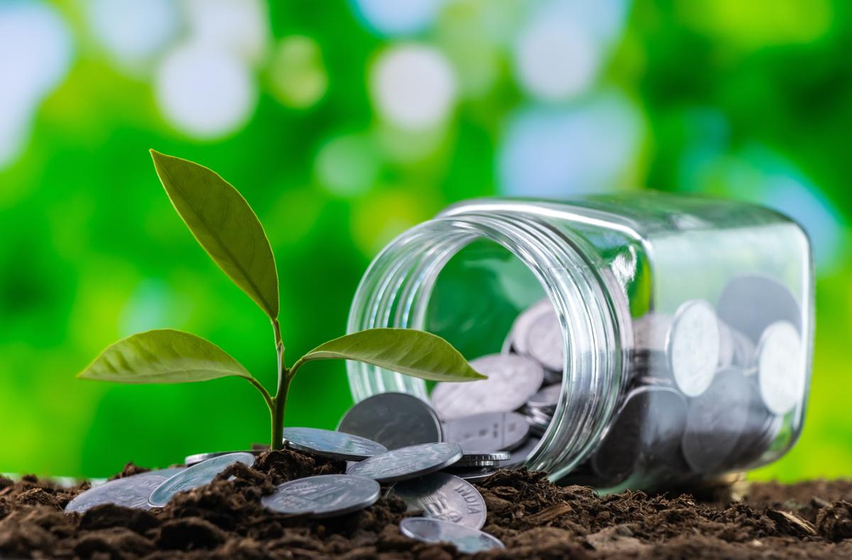 Dividends Are on the Way Back