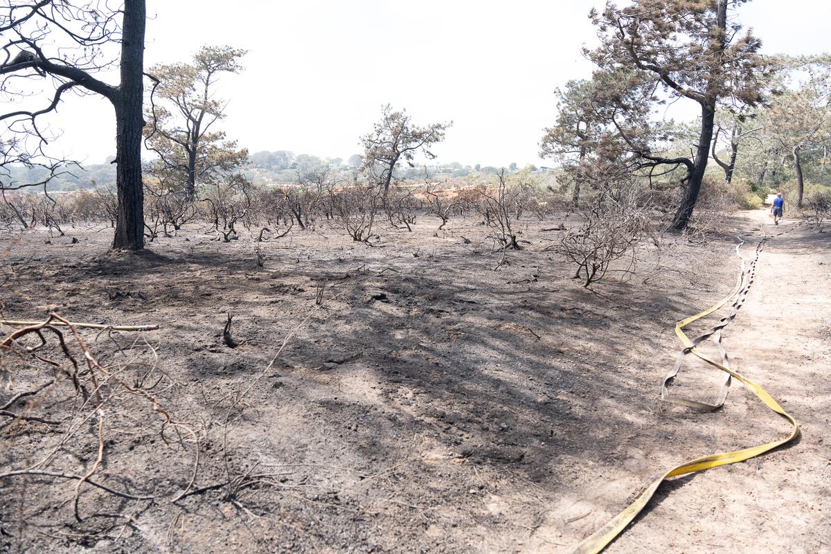 Torrey Pines-Area Brush Fire Forces Widespread Evacuations