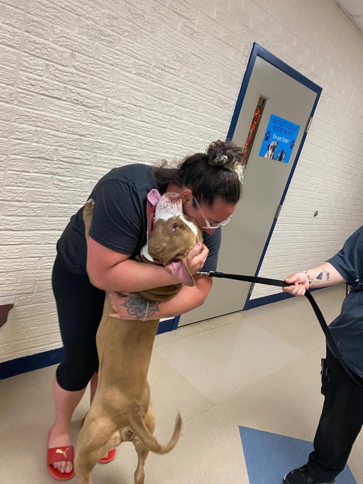 (Courtesy of Fort Wayne Animal Care & Control)